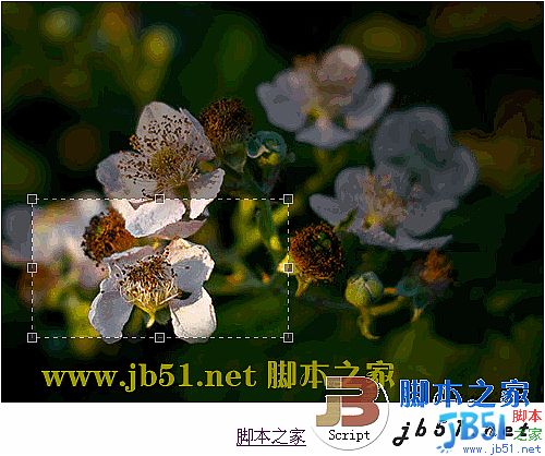JQuery Jcrop 實現圖片裁剪的插件